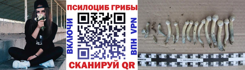 Псилоцибиновые грибы Magic Shrooms  Дальнегорск 